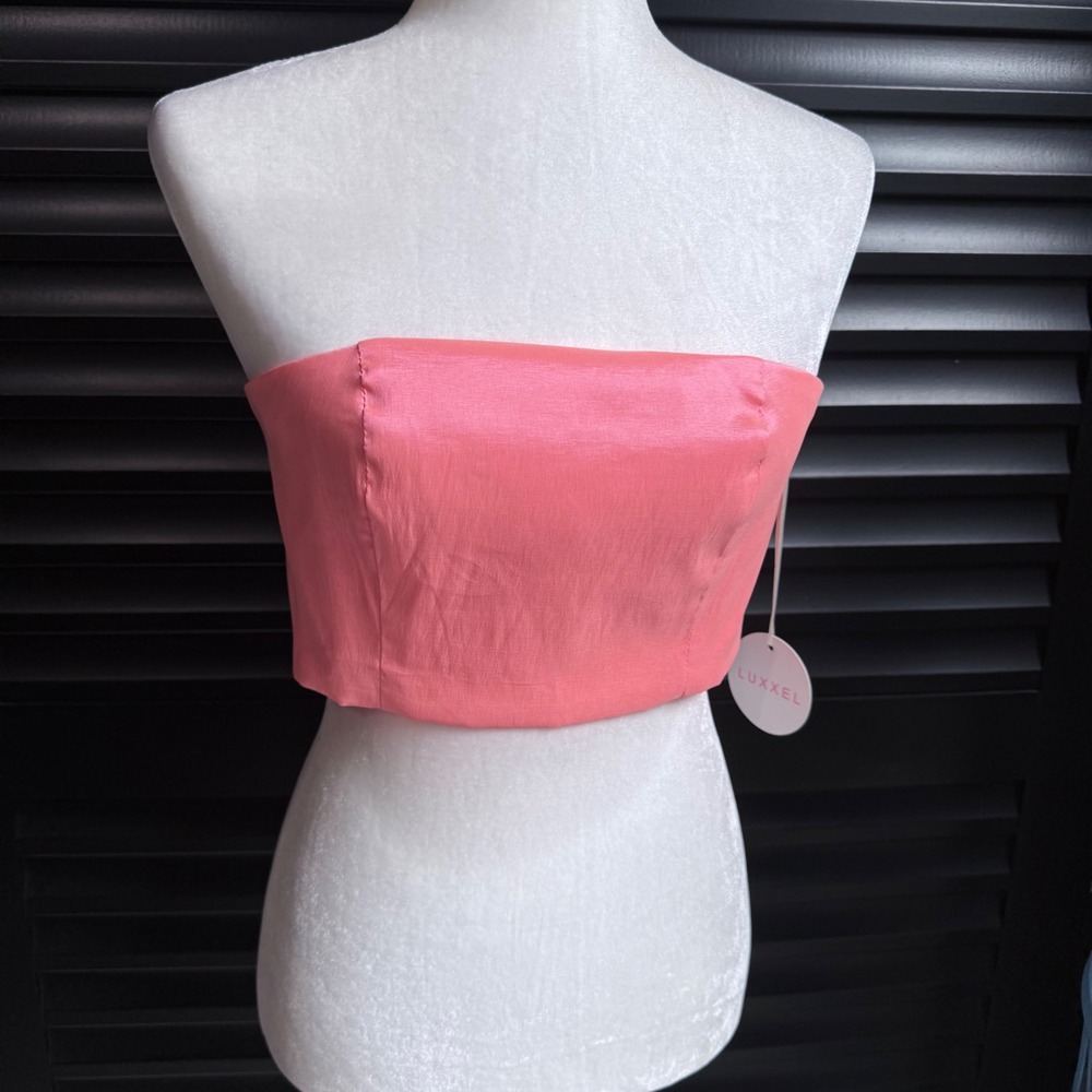 NWT Iridescent Pink Bustier Structured Crop Top Bandeau Medium Luxel Zipper